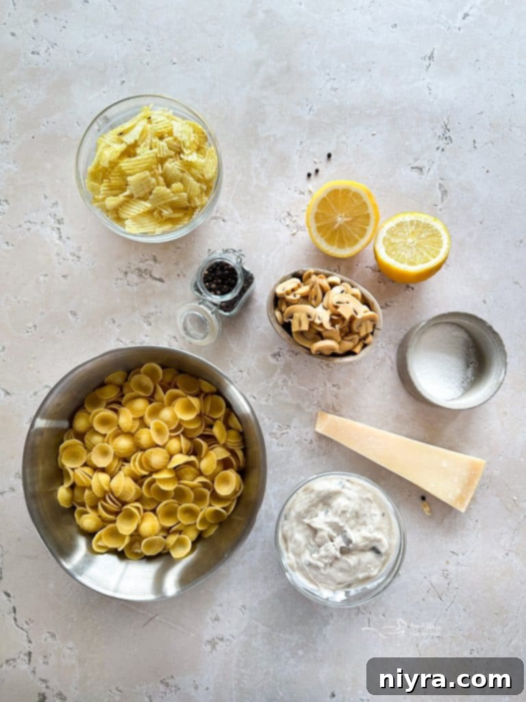 A close-up of creamy Tuna Tetrazzini Casserole baking in a casserole dish.