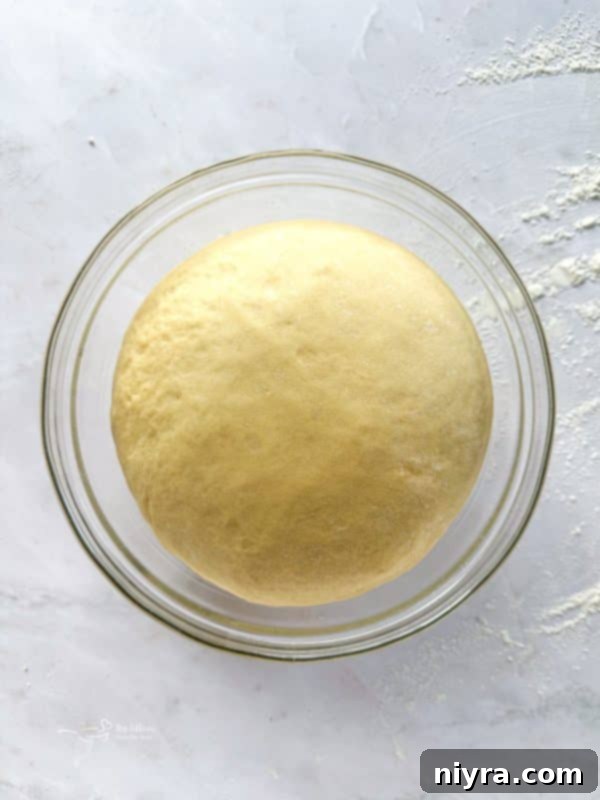 Warm Cinnamon Pull Apart Delight 11 Fully proofed dough, doubled in size and ready to be shaped