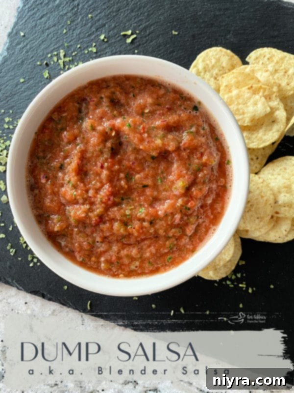 Blender Dump Salsa with a bowl of chips