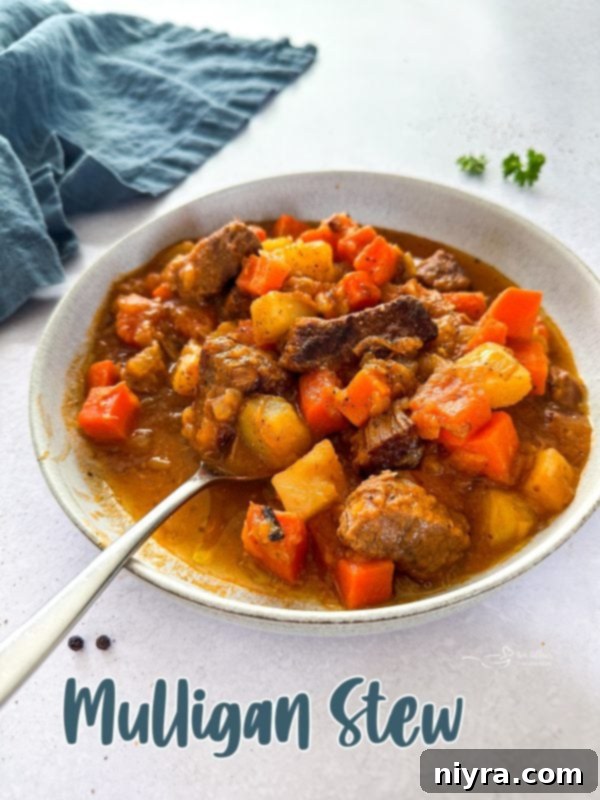 A beautifully composed overhead shot of Mulligan Stew, garnished with fresh herbs.