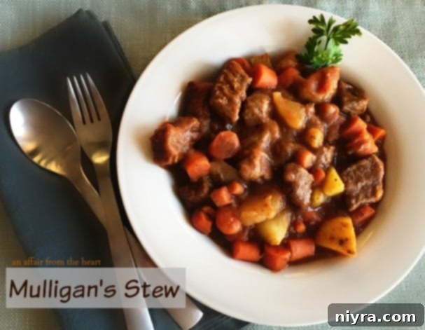 Overhead of Mulligan's Stew in a white bowl