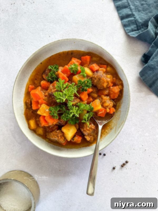 A close-up of Mulligan Stew with a rich, tomato-infused broth and chunky vegetables.