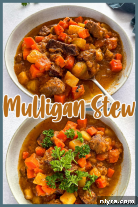 A beautifully presented bowl of Mulligan Stew on a wooden surface.