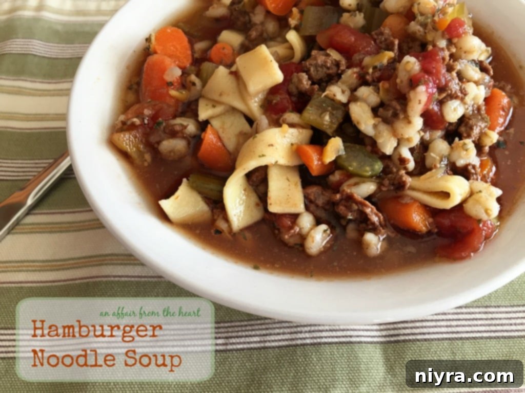 2015's Most Craveable Savory Creations 9 Hamburger Noodle Soup - Wholesome Family Dinner