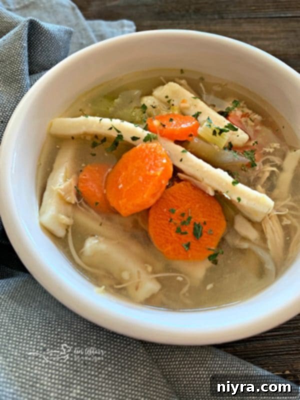 Close up of Turkey Noodle Soup