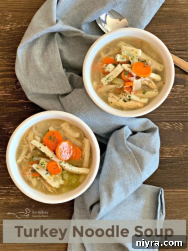 Turkey Noodle Soup HERO shot