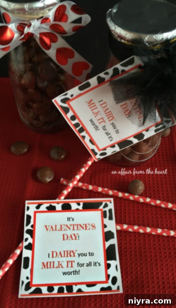 Completed 'I Dairy You to Milk It' Valentine Gift Idea