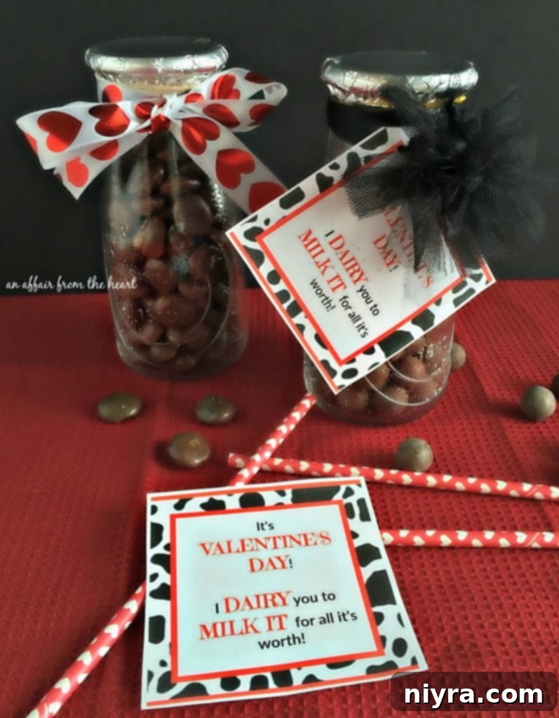 Final Look: 'I Dairy You to Milk It' Valentine Gift with Ribbon and Tag