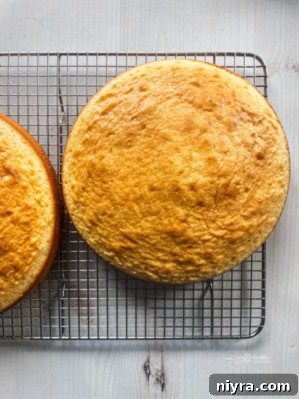 Two perfectly baked yellow cake layers cooling on a rack, essential for a stable Kit Kat cake.