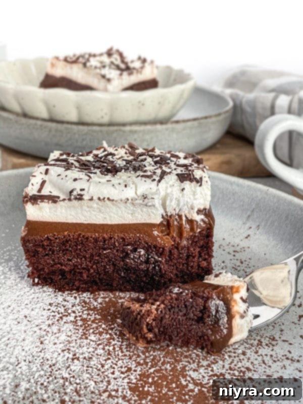 Luscious Chocolate Pudding Poke Cake slices, ready to be enjoyed