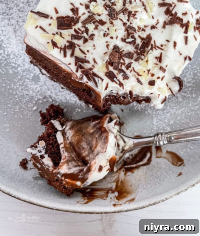 Another mouthwatering close-up of Chocolate Pudding Poke Cake