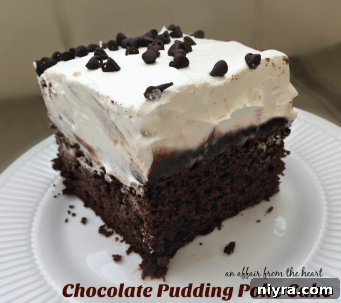 Close-up of a perfectly baked and topped Chocolate Pudding Poke Cake