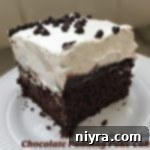 Close up of Chocolate Pudding Poke Cake on a white plate