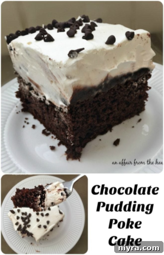 Chocolate Pudding Poke Cake - Easy Devil's food cake with chocolate pudding and whipped cream. A truly simple and decadent dessert.