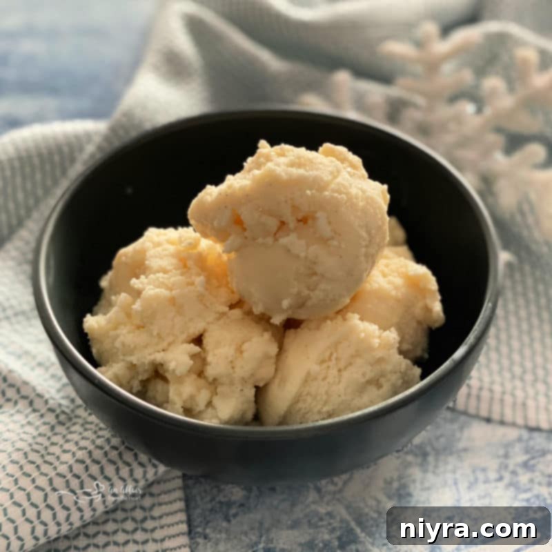 Snow Ice Cream close up in a bowl, showing creamy texture