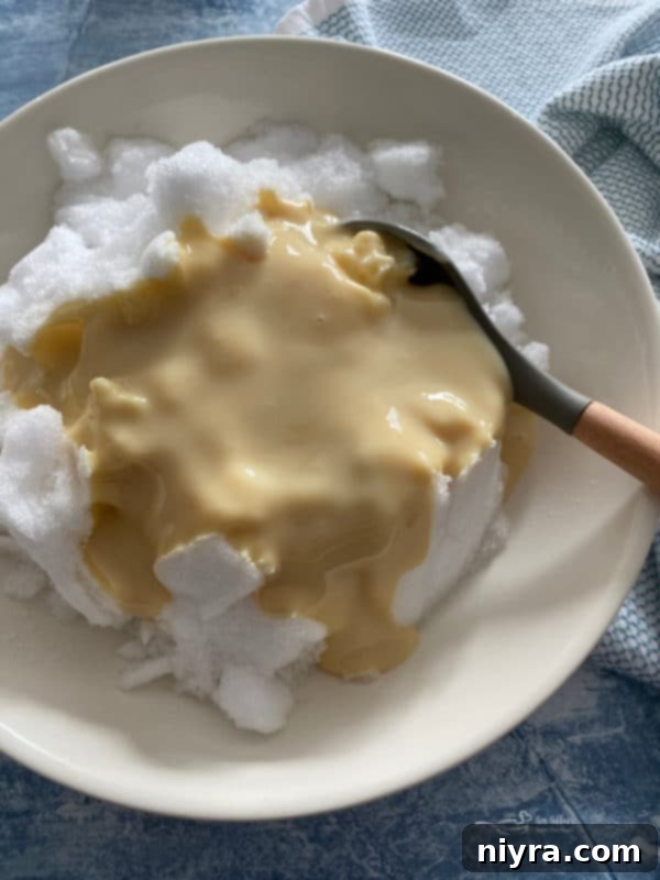 Ingredients for snow ice cream: snow, condensed milk, vanilla
