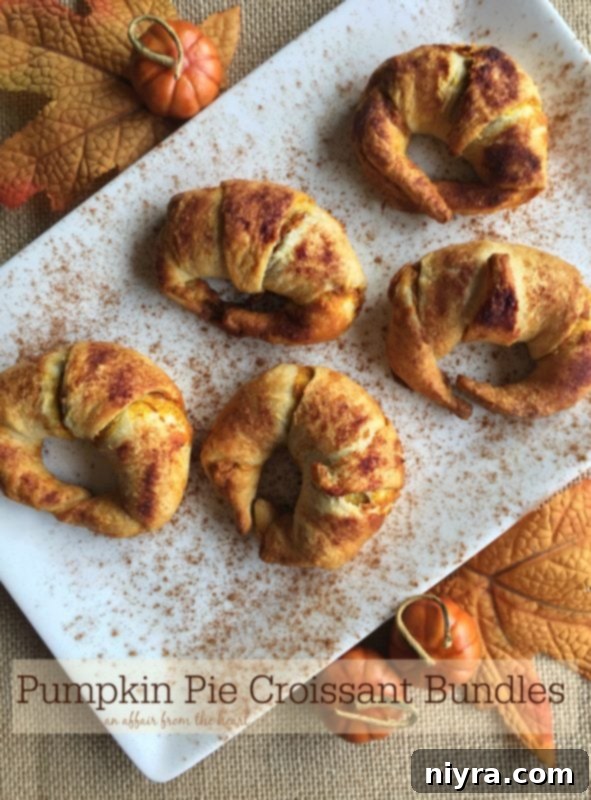 Pumpkin Pie Croissant Bundles