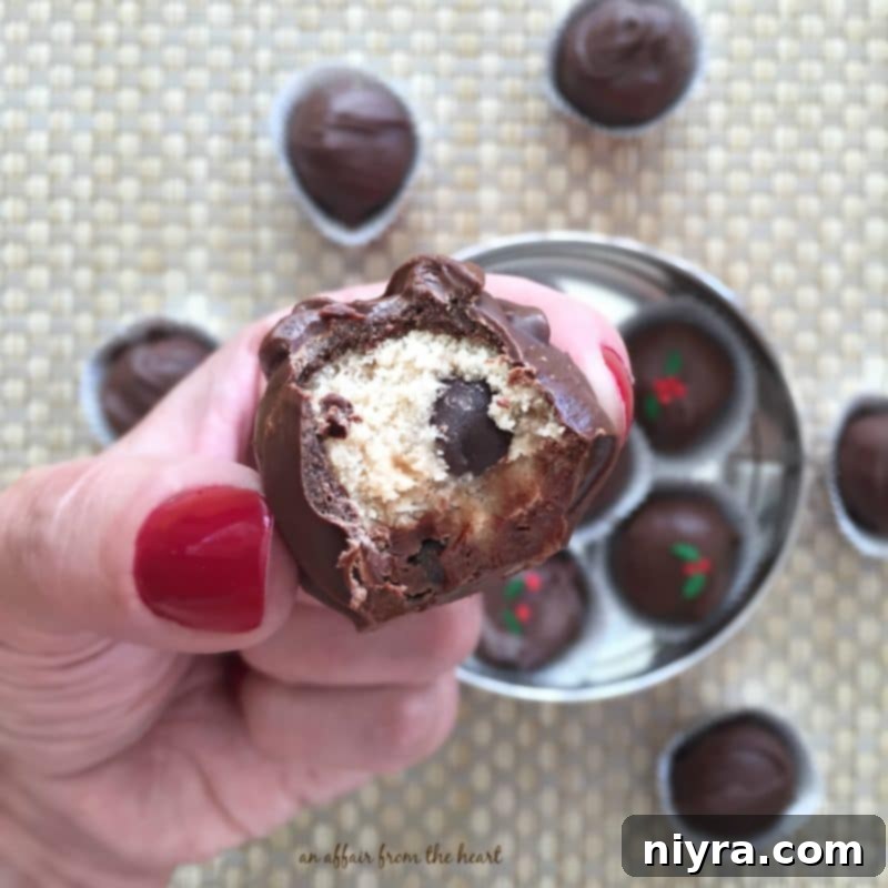 Decorated Peanut Butter Chocolate Chip Cookie Dough Truffles