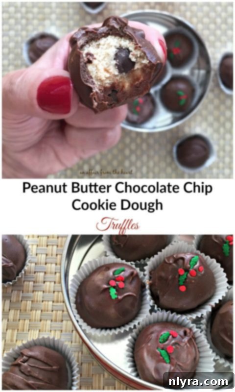 Close-up of Peanut Butter Chocolate Chip Cookie Dough Truffles