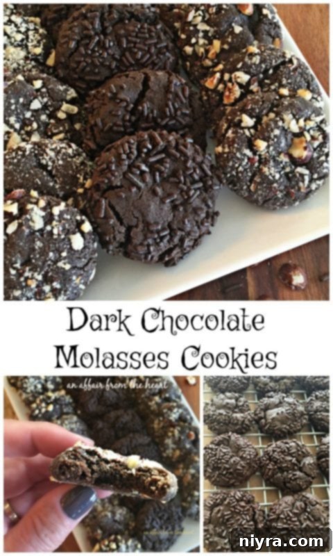 Dark Chocolate Molasses Cookies - An Affair from the Heart, close-up with a bite taken