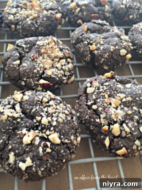 Close-up of Dark Chocolate Molasses Cookies with hazelnuts and chocolate jimmies