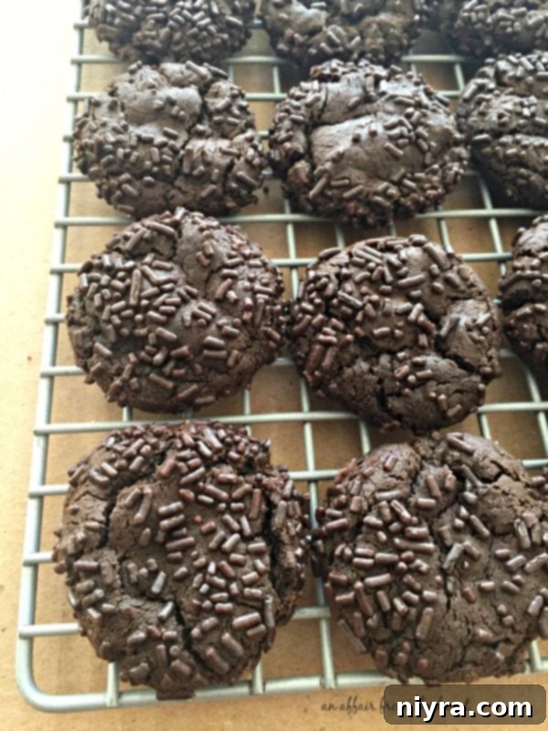 Another perspective of Dark Chocolate Molasses Cookies arranged enticingly