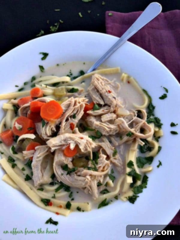 Spicy Chicken Noodle Soup with fresh cilantro garnish