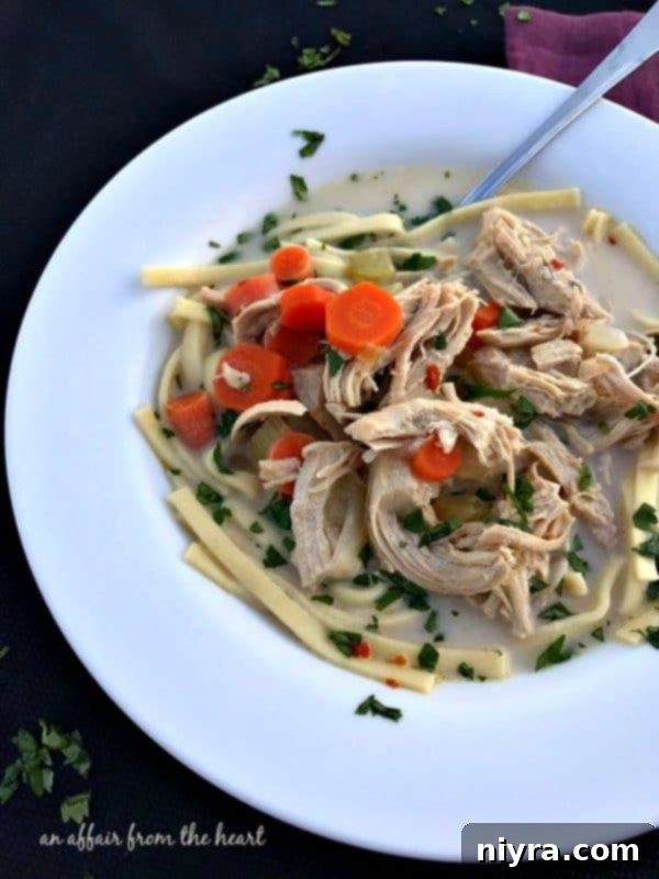 Spicy Chicken Noodle Soup with creamy broth