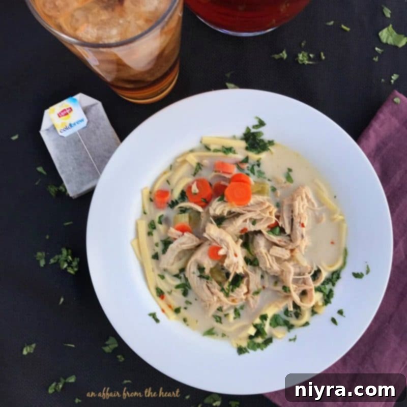 Spicy Chicken Noodle Soup in a rustic bowl