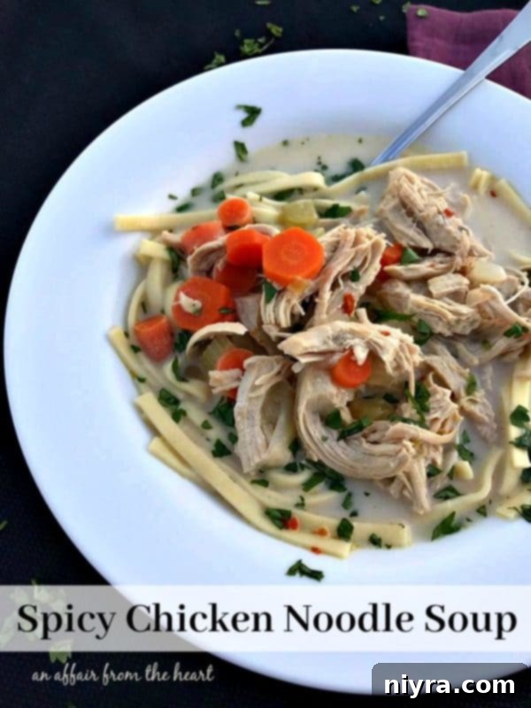Delicious Spicy Chicken Noodle Soup with fresh ingredients