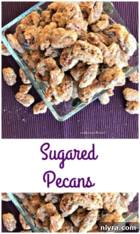 Candied Pecans 3 Close-up of freshly made Sugared Pecans, highlighting their candy coating.