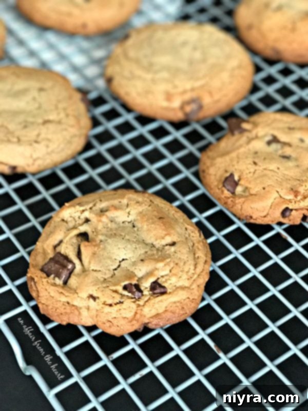 Decadent Peanut Butter Chocolate Chunk Cookies 3 Close-up of a Peanut Butter Chocolate Chunk Cookie with a gooey center