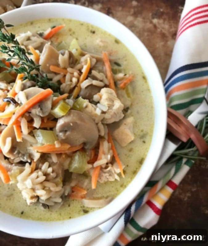 A large, inviting bowl of Chicken, Mushroom & Wild Rice Soup