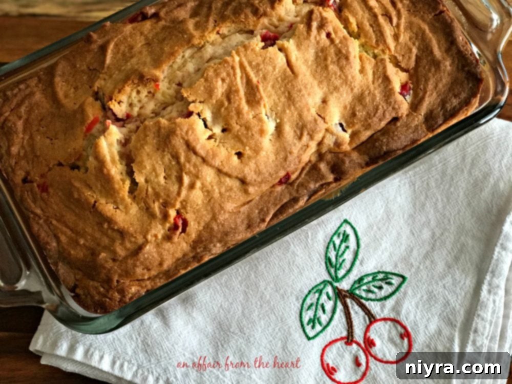 The vibrant Cherry Cheese Bread batter, studded with red maraschino cherries, carefully poured into a greased loaf pan, ready for its journey into the oven.