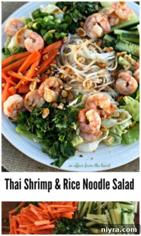 Close-up of fresh Thai Shrimp & Rice Noodle Salad ingredients