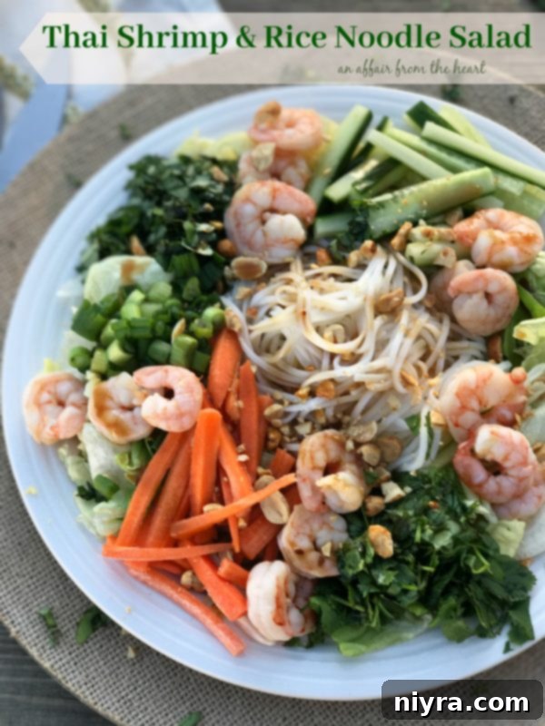 Overhead view of a beautiful Thai Shrimp & Rice Noodle Salad