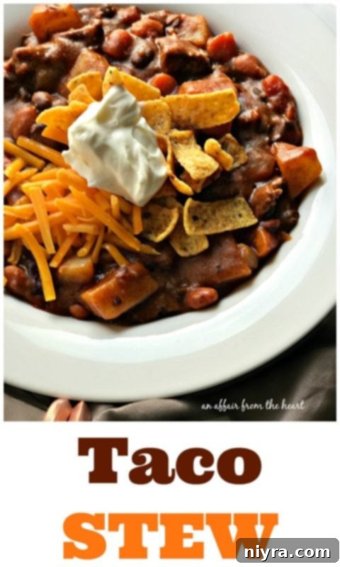 Close-up of Taco Stew, showing chunks of beef, potatoes, and beans with a rich, spiced broth.