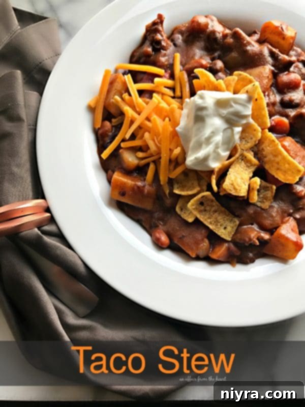 A serving of Taco Stew in a bowl, perfect for a cozy meal.