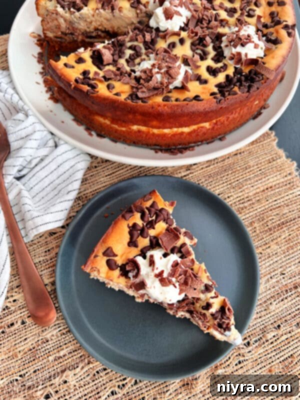 Velvet Irish Liqueur from Scratch 8 A decadent Irish Cream Cheesecake, perfect for using homemade liqueur in desserts.