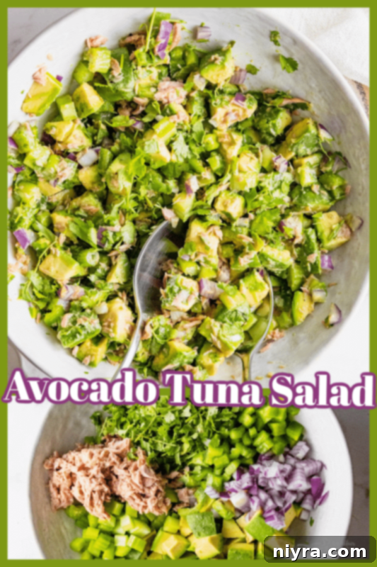Avocado Tuna Salad served on a slice of toasted bread, garnished with fresh herbs.
