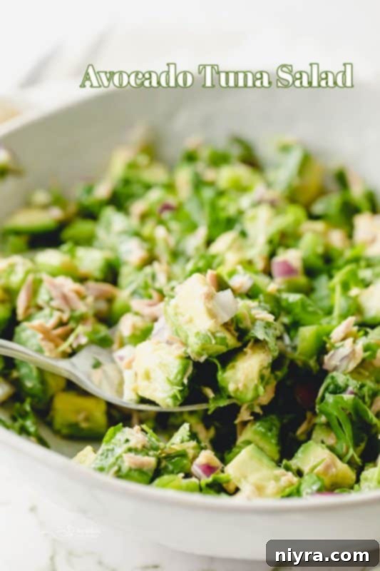 A beautifully plated Avocado Tuna Salad, ready to be served.
