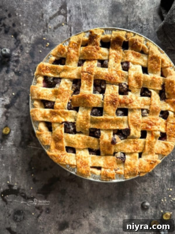 Blueberry pie with egg wash and coarse sugar, ready for baking