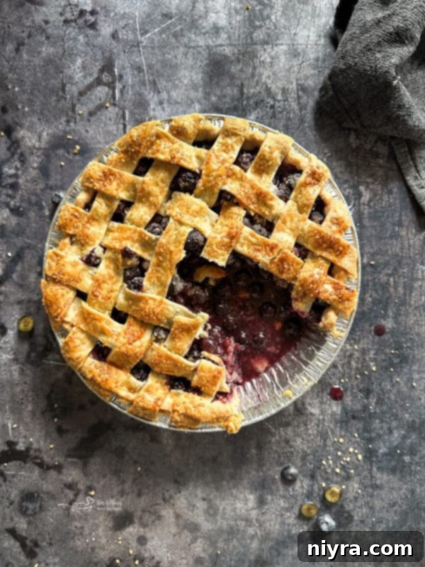 Freshly baked blueberry pie on a wire rack