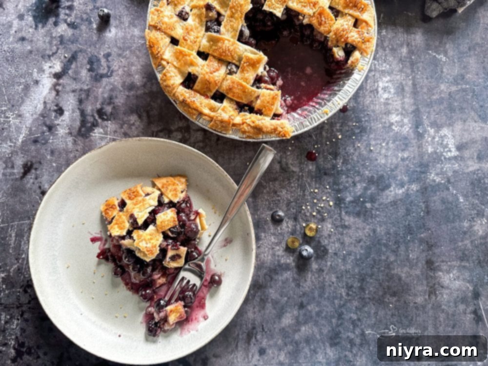 Close-up of fresh blueberries, sugar, cinnamon, and flour in a bowl