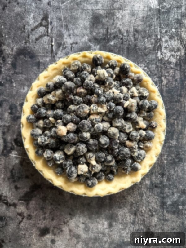 Blueberry filling being mixed in a bowl