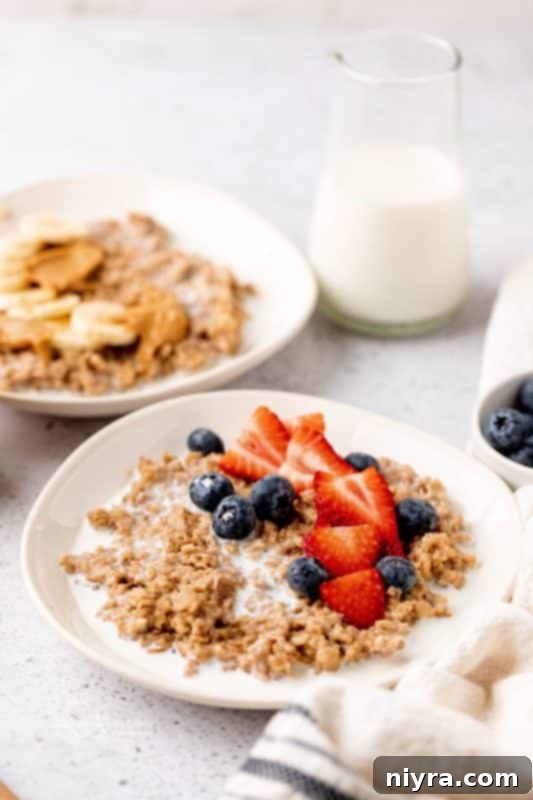 A close-up of a bowl of Instant Pot Cinnamon Oatmeal, ready to be served.