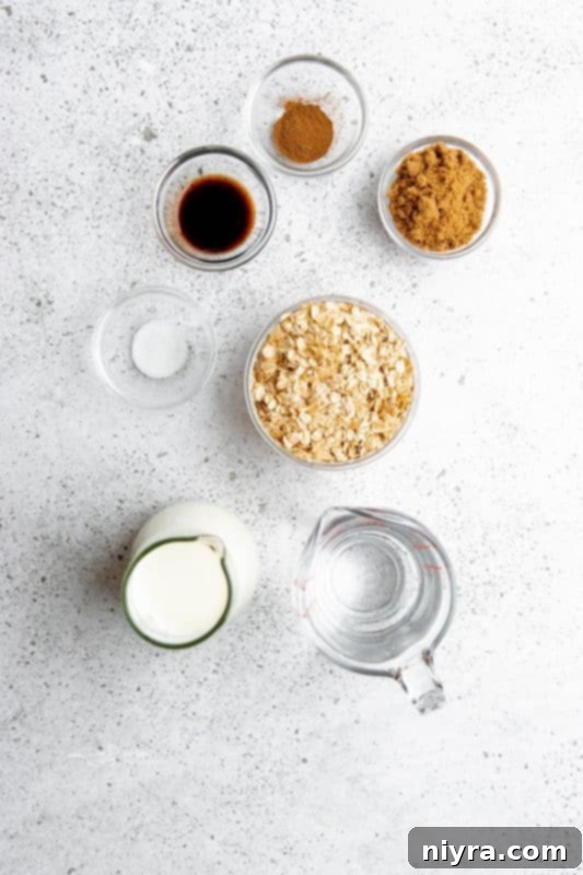 A close-up of Instant Pot Cinnamon Oatmeal in a bowl with a spoon, showing its creamy texture.