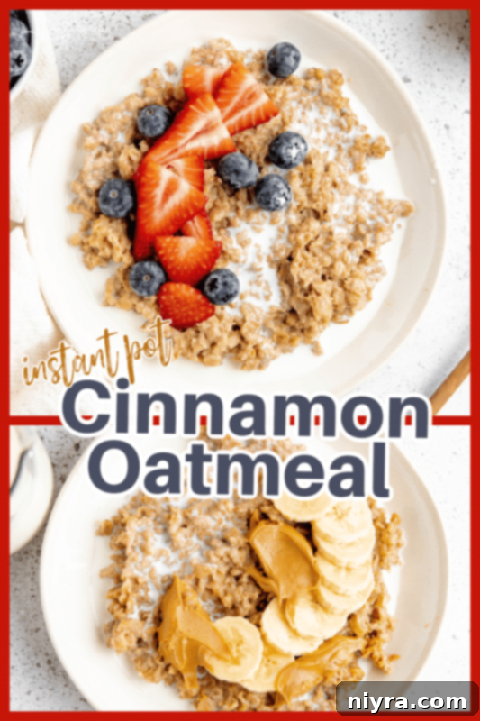 A styled shot of a bowl of Instant Pot Cinnamon Oatmeal with toppings.