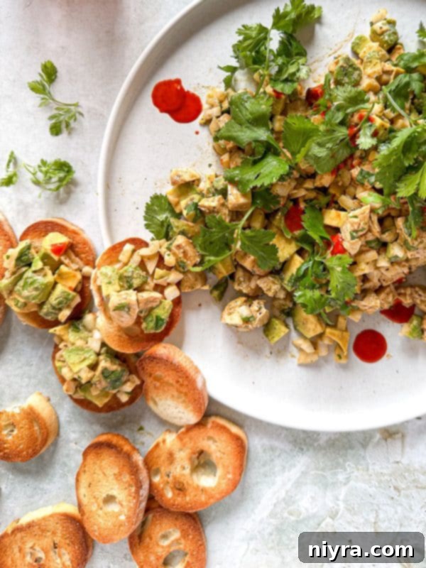 Close-up of creamy Avocado Chicken Salad Dip with crackers on a white plate, garnished with fresh cilantro.