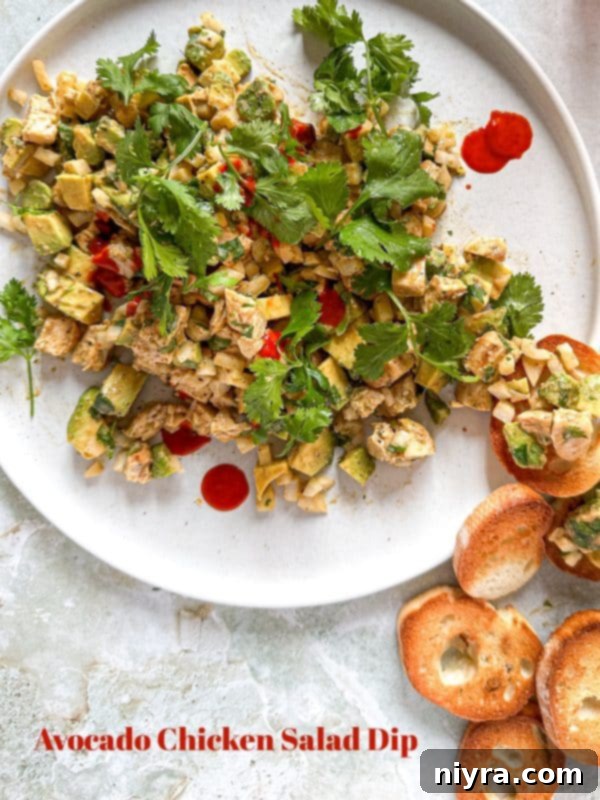 Hero shot of Avocado Chicken Salad Dip in a large bowl, garnished with fresh cilantro and surrounded by various dipping options.